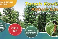 Laris Manis! Ini Keuntungan Investasi di Tanah Kavling Pangandaran Pepper Park