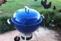Blue Webber Grill, Precious Device for Your Kitchen