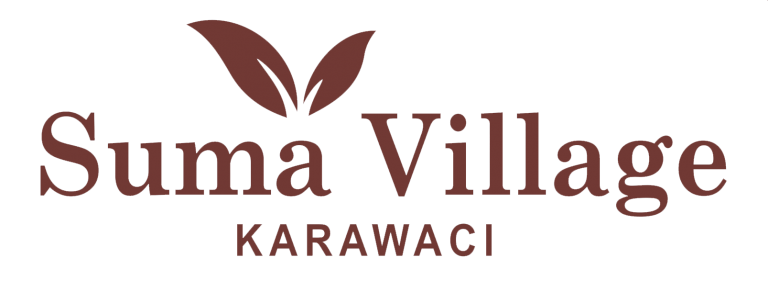 Logo-Summa-Village.png